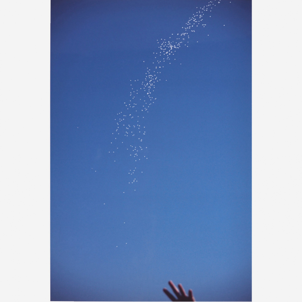 foto da obra