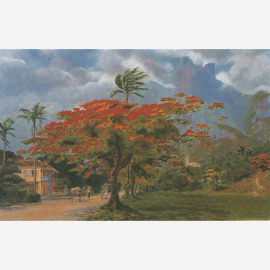 Foto da obra