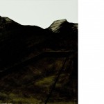 Gisele Camargo - Da série dos 33 trípticos, 2009 - acrílica, esmalte sintético e óleo sobre mdf - 30 x 105 cm