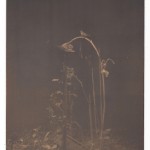 Masao Yamamoto - A Box of Ku 33 - ano 1990 - fotografia gelatina e prata e tecnica mista