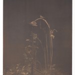 Masao Yamamoto - A Box of Ku 33 - ano 1990 - fotografia gelatina e prata e tecnica mista