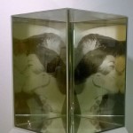 Le baiser mis a nu, d´aprés Duchamp