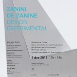 Zanini de Zanine - MAM-Rio