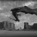 Ricardo Nauenberg_Superfícies_22 MONUMENT dry tree 3 AZ