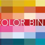 Color - Bins