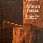 Capa Livro Afonso Tostes
