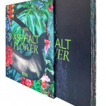 Claudia - Jaguaribe - Livro - Asphalt - Flower