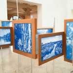 Alexandre Murucci - A Floresta Azul - 001