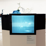 35 Bienal de São Paulo