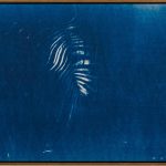 Andrea Bracher - 001