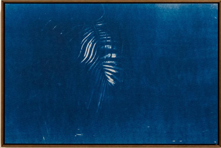 Exposição fotográfica de Andréa Brächer.