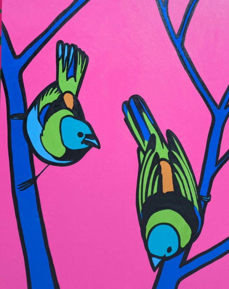 Rio dos Pássaros Pintados e o Rio de Janeiro.