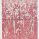 Azevedo - 003