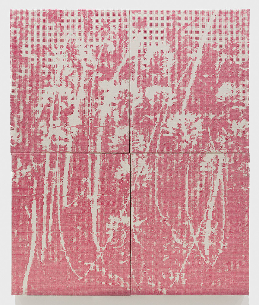 Azevedo - 003