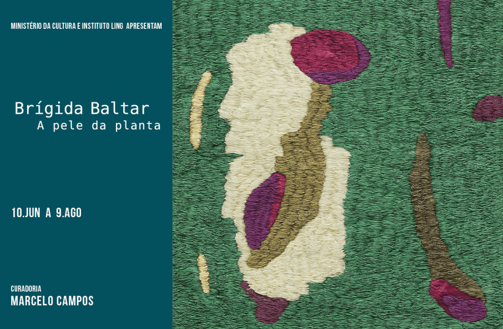 Brígida Baltar - 001