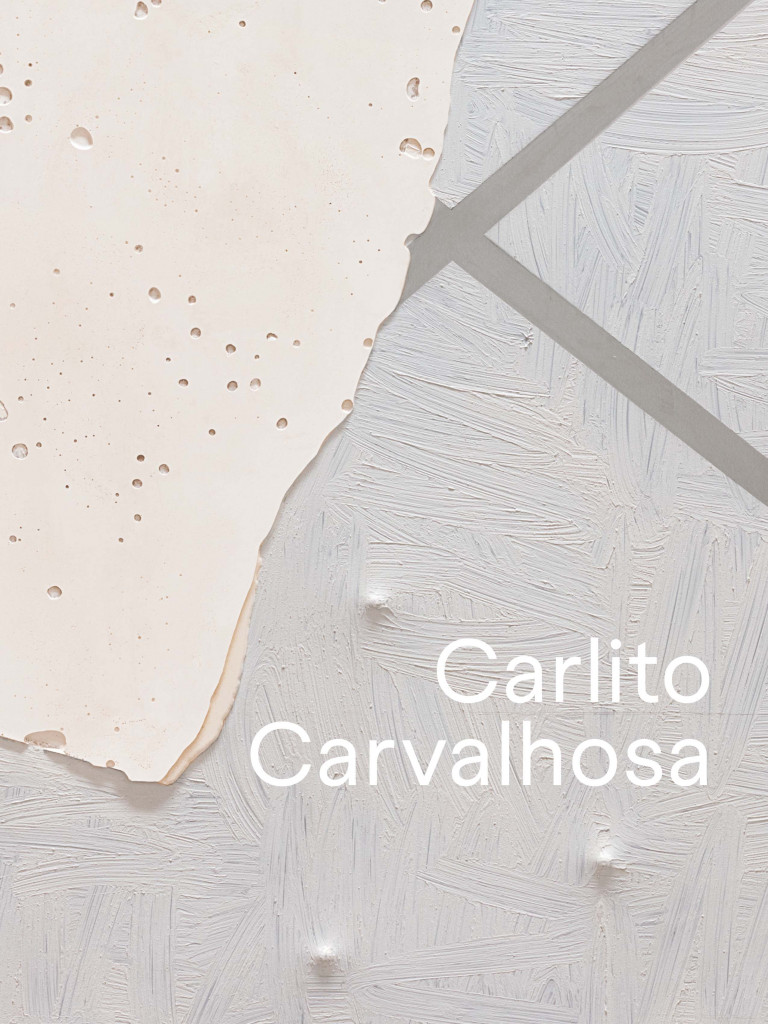 Carlito Carvalhosa - Livro - 001
