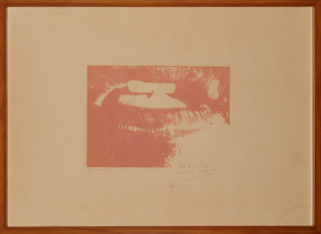Pinakotheke - Lygia Pape  - 002