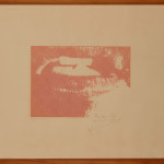 Pinakotheke - Lygia Pape  - 002