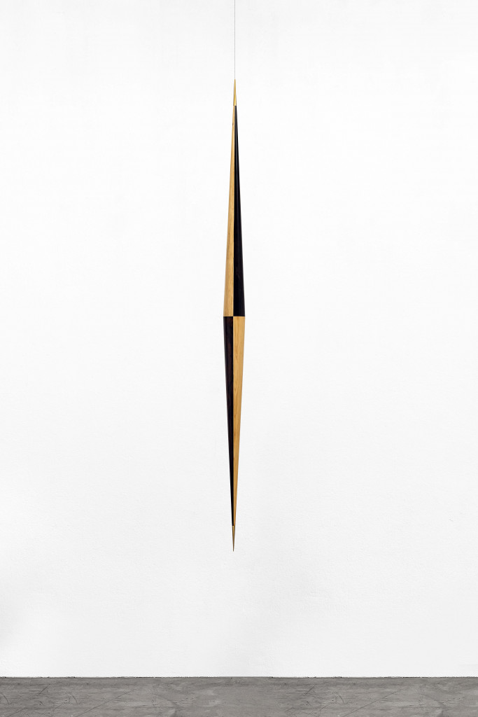 Artur Lescher - 0003