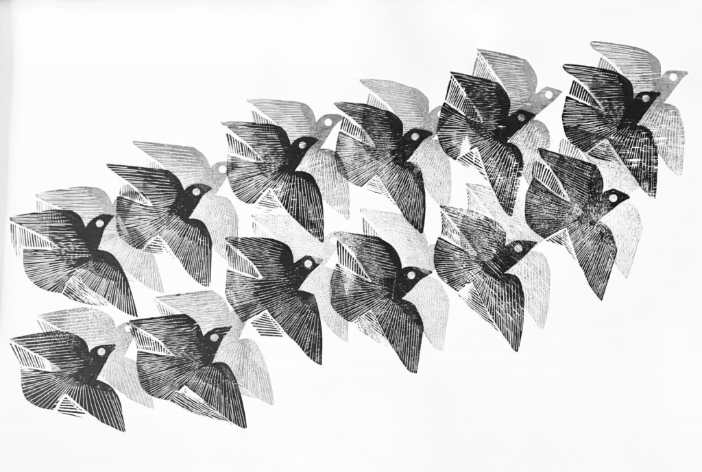 Ciro Fernandes - 003.