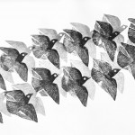 Ciro Fernandes - 003.