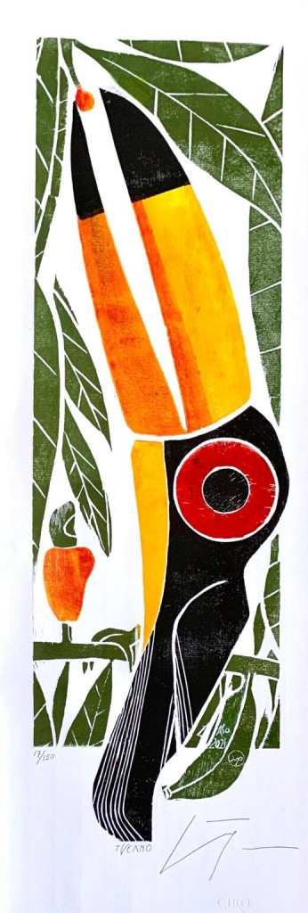 Ciro Fernandes - 004.