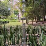IMG_243FD05E7D66-1