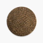 Untitled design - 1