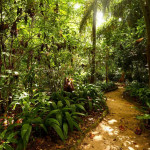 Museu-paraense-Emilio-Goeldi - 0001