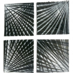 Behring - Camila Tavares  - 0001