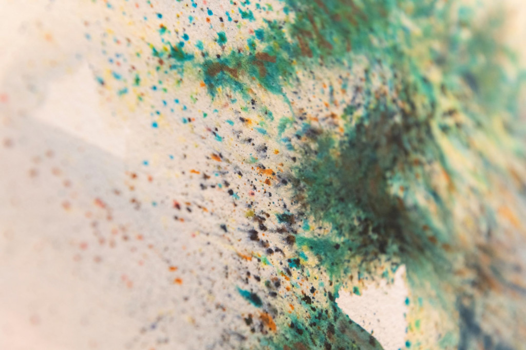 Juliana - dos - Santos - 0003..