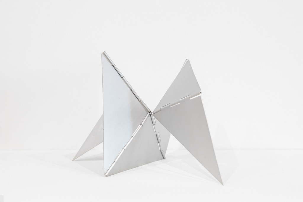 Lygia Clark - Marcelo Guarnieri - 0003