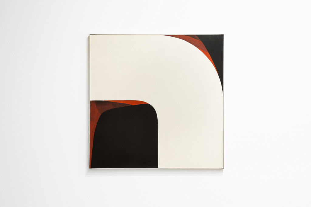 Tomie Ohtake - Marcelo Guarnieri - 0004