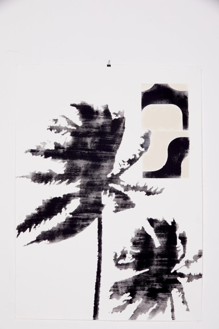 A pesquisa visual de Oskar Metsavaht.